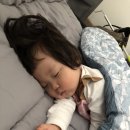대숲사이민박