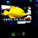 월드컵노래방 이미지