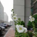 우림세탁소 이미지