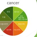 암 치료에 미치는 영향력은 어느 정도인가? 이미지