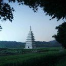 미륵사지 이미지