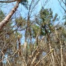 금문농장2 이미지