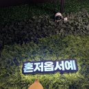 부천 상동 제주스러움이 묻어있는 제줏간 방문후기