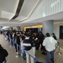 냥냥펀치 이미지