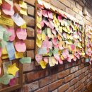 올리브델쿠치나 이미지