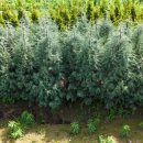 태림농장 이미지