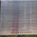 깊이울오리 이미지