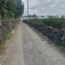 서귀포남원공인중개사사무소 이미지