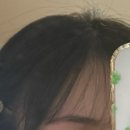 엔트 | [신논현 왁싱] 엄청 빠르고 정확한 시술, 엔트왁싱랩🪮에서 눈썹왁싱 후기