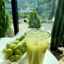 파인 관광농원 이미지