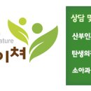 연네이쳐