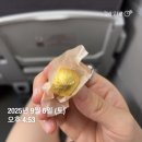 동양한의원 | 만드는 공진단이 중요한 이유 l 세종시 공진단 한의원 이것만 확인하세요! 대전 청주 공주 공진단 선물