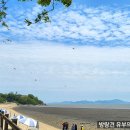 산당화가피는집