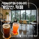 계양산 장미원 근처 카페 추천! '메종드제이' 넓고 뷰 좋은 카페 후기