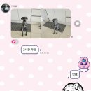 한솔농원 | 9월일상헤헷(정뼝시작전)