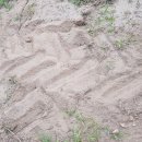 월면농장 이미지