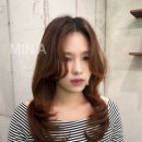 어반드헤어 - 98276 | 어반드헤어