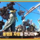 굴자랑식당 네이버블로그