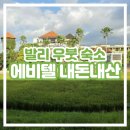 The 좋은집 | [발리 우붓 숙소] 에비텔 The Evitel Resort Ubud 내돈내산 솔직 후기 가성비 위치 좋은 곳