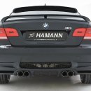 BMW M3 HAMANN REAR APRON END PANEL Item No.: 10 090 245 10090245﻿ 이미지