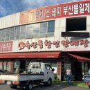 고령생고기 이미지