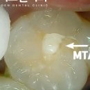 플러스덴치과의원 이미지