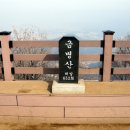 주식회사 미도파 이미지