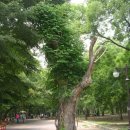 황성공원 실내체육관 이미지