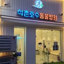 석촌호수동물병원 이미지