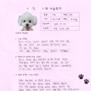 1423 | [#1423] 구름(양측 슬개골탈구 G3)의 수술후기