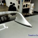 순정 세차장 이미지