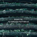 달크림 | 톤28 펩타시카 토너·세럼·크림 한달 사용 후기
