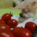 냠냠