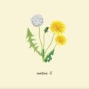 Body Bless 이미지