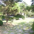 태선농장 Daum카페
