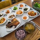 신도반찬식당 | 제주도 여행 돌고래 스팟 정보 현지인 맛집 신도어촌계식당 재방문 후기