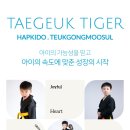 태극타이거 합기도 네이버블로그
