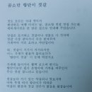 길이네젓갈