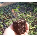 해룡농장 이미지