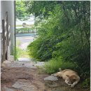 꽃수레커피 - 52412 | 꽃수레커피