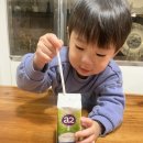 뉴오리진 a2우유 초지방목우유 돌이후 아기우유추천
