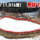 (8211) 강원도 횡성 ■ 평당 16만원 3,359㎡ (1,016평) ■ 귀농 귀촌 하우스농사 강추!! 이미지