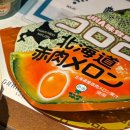 삿포로] 일본 4대 편의점 추천템 털기 (로손, 세븐일레븐, 세이코마트, 패밀리마트) 🙃 후기, 메뉴 추천 🥞🥚🍡