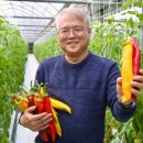 딸기공인중개사사무소 이미지