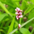 서호호근로 이미지