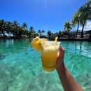 석양을 품은 물고기 | [타히티] 전 세계 여행자들의 버킷리스트 ♥ 남태평양 진주의 매력