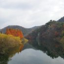 장태산 자연 휴양림 이미지