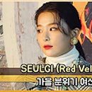 하다스포츠 이미지