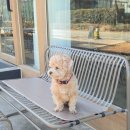 오프닝커피 이미지