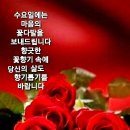 장미공원길 이미지